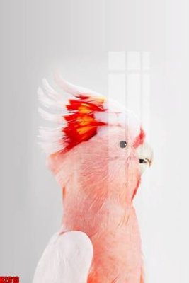 File tranh File tranh decor tranh bộ treo tường tổng hợp H2916 (gốc) chủ đề trẻ em