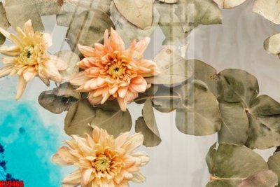 Tải file File tranh gốc in tranh tường nền tổng hợp H29464 (gốc) làm file tranh quảng cáo