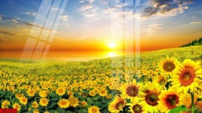 File PSD File tranh gốc in tranh tường nền tổng hợp H29498 (gốc) tách lớp chi tiết