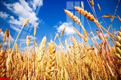 File gốc File tranh gốc in tranh tường nền tổng hợp H29502 (phong cách) tối giản