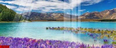 Mua file gốc File tranh gốc in tranh tường nền tổng hợp H29515 (PSD) tại Filetranh.com