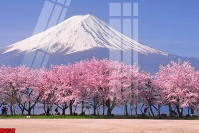 File gốc File tranh gốc in tranh tường nền tổng hợp H29517 (in mica) làm quà tặng