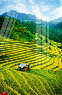 File ảnh gốc File tranh gốc in tranh tường nền tổng hợp H29530 không vỡ nét