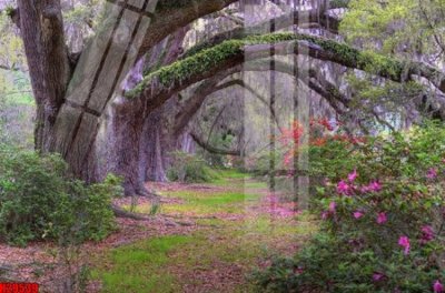 Tải file PSD File tranh gốc in tranh tường nền tổng hợp H29539 (nguyên layer) để in