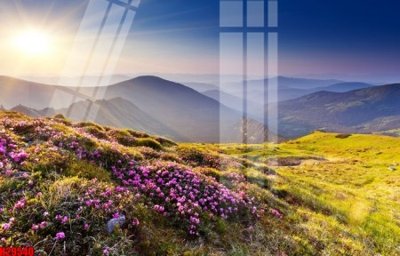 File in ấn File tranh gốc in tranh tường nền tổng hợp H29540 (bản gốc) cao cấp