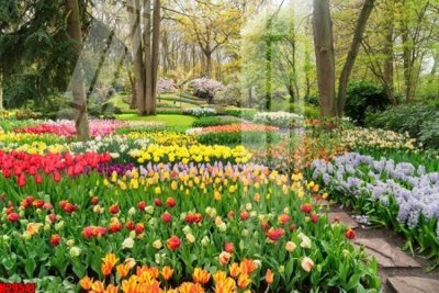 Tải về hình ảnh gốc File tranh gốc in tranh tường nền tổng hợp H29541 sắc nét