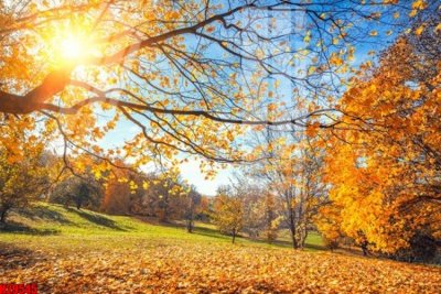 Mua file gốc File tranh gốc in tranh tường nền tổng hợp H29545 (chất lượng) tại Filetranh.com