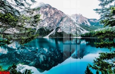 Tải file gốc File tranh gốc in tranh tường nền tổng hợp H29546 dùng cho in ấn