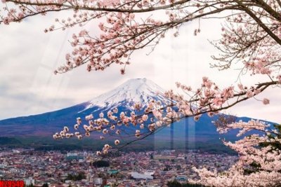 File gốc File tranh gốc in tranh tường nền tổng hợp H29549 (chủ đề hiện đại) trang trí