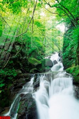 File gốc File tranh gốc in tranh tường nền tổng hợp H29554 (Filetranh.com) File tranh gốc in tranh tường nền tổng hợp H29554