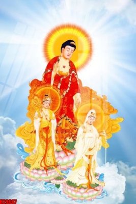 File tranh in trần File tranh gốc in tranh tường nền tổng hợp H29687 (ảnh gốc siêu nét)