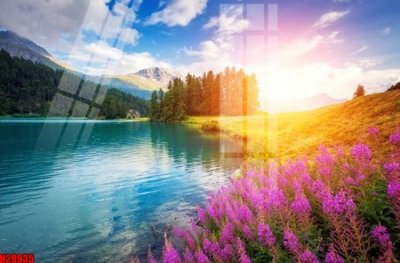 File in trần File tranh gốc in tranh tường nền tổng hợp H29935 (bản gốc) đại dương