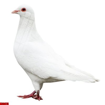 File gốc in ấn File tranh gốc in tranh tường nền tổng hợp H30075 độ phân giải cao