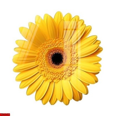 File gốc File tranh gốc in tranh tường nền tổng hợp H30083 (vector) cho in ấn