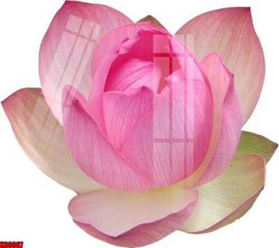 File gốc File tranh gốc in tranh tường nền tổng hợp H30087 (in tráng gương) ốp tường