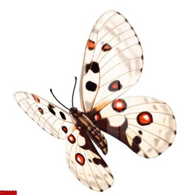 Tệp tin gốc File tranh gốc in tranh tường nền tổng hợp H30088 (chất lượng) File tranh gốc in tranh tường nền tổng hợp H30088