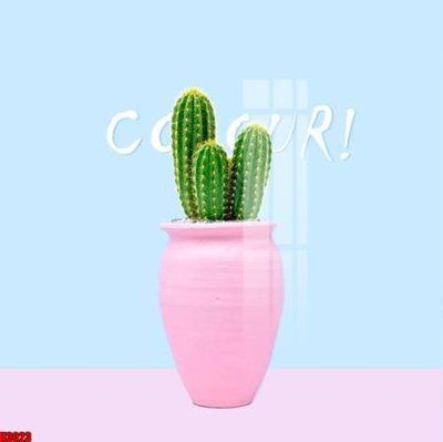 File in ấn File tranh decor tranh bộ treo tường tổng hợp H3023 (bản gốc) cao cấp