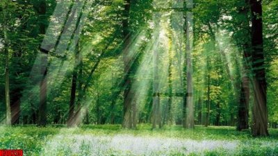 File tranh gốc File tranh gốc in tranh tường nền tổng hợp H30279 (bản đẹp) độc quyền