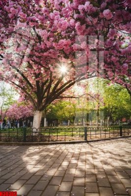 Tải file File tranh gốc in tranh tường nền tổng hợp H30363 (ảnh gốc) file TIFF