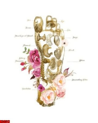 Hình ảnh file gốc File tranh gốc in tranh tường nền tổng hợp H30512 (chất lượng cao)