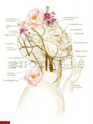 Tải file File tranh gốc in tranh tường nền tổng hợp H30513 (ảnh gốc) in tráng gương