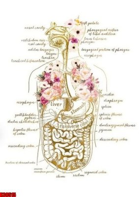 File gốc File tranh gốc in tranh tường nền tổng hợp H30515 (PNG) không nền chất lượng