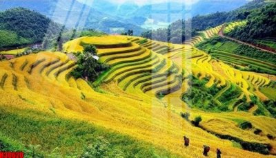 File gốc File tranh gốc in tranh tường nền tổng hợp H30620 (PNG) không nền chất lượng