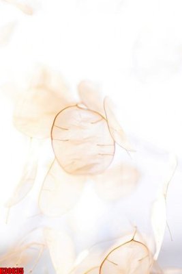 File tranh File tranh gốc in tranh tường nền tổng hợp H30635 (gốc) chủ đề thành phố