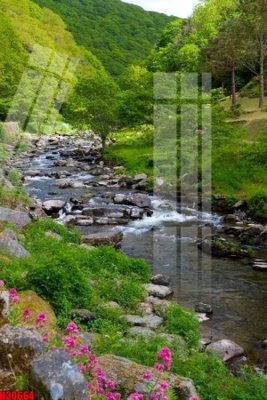 File ảnh File tranh gốc in tranh tường nền tổng hợp H30664 (gốc) trang trí khách sạn