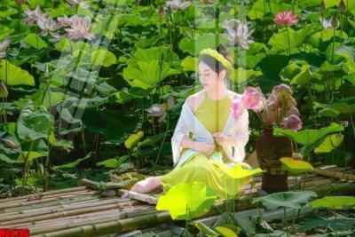 Tải về file gốc File tranh gốc in tranh tường nền tổng hợp H30796 (dùng cho in quảng cáo)