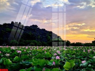 File tranh File tranh gốc in tranh tường nền tổng hợp H30845 (bản gốc) in lụa 5D