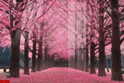 File tranh gốc File tranh gốc in tranh tường nền tổng hợp H31100 (bản quyền) Filetranh.com