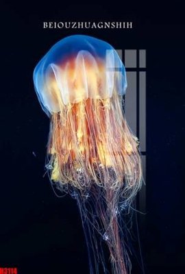 File tranh File tranh decor tranh bộ treo tường tổng hợp H3114 (bản gốc) in lụa 3D