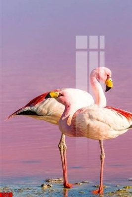 File tranh trang trí File tranh decor tranh bộ treo tường tổng hợp H3118 (tải file gốc)