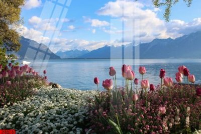 File tranh File tranh gốc in tranh tường nền tổng hợp H31185 (bản gốc) treo tường