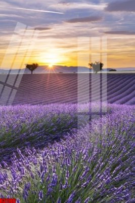 File gốc File tranh gốc in tranh tường nền tổng hợp H31186 (in lụa) cao cấp