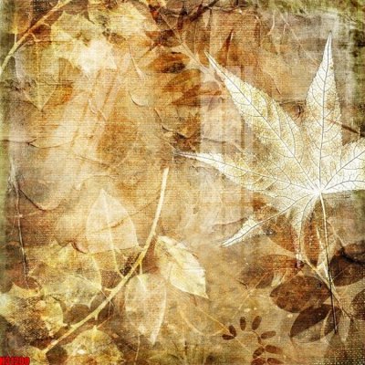 File PSD File tranh gốc in tranh tường nền tổng hợp H31200 (bản gốc) chất lượng nhất