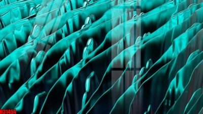 File tranh File tranh gốc in tranh tường nền tổng hợp H31454 (ảnh gốc) độ nét vượt trội