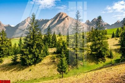 File PSD File tranh gốc in tranh tường nền tổng hợp H31506 (gốc) nhiều lớp (multi-layer)