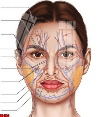 Tải file tranh gốc File tranh gốc in tranh tường nền tổng hợp H31529 chất lượng cao