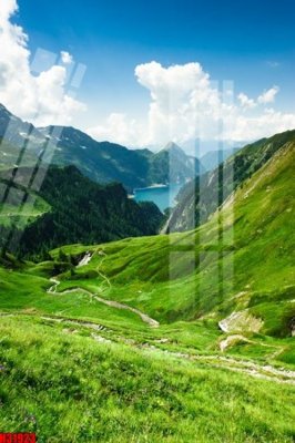 File PSD File tranh gốc in tranh tường nền tổng hợp H31923 (gốc) tách lớp chi tiết