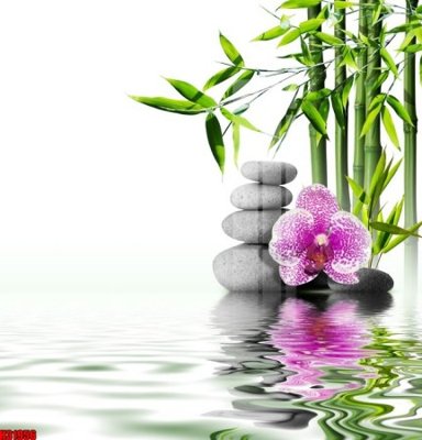 File tranh in trần 3D File tranh gốc in tranh tường nền tổng hợp H31956 (ảnh gốc)