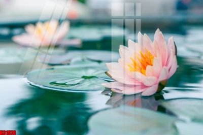 File gốc in ấn File tranh gốc in tranh tường nền tổng hợp H31970 (sẵn sàng tải về)