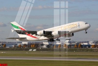 File gốc File tranh gốc in tranh tường nền tổng hợp H31971 (in lụa) hoa văn cổ điển