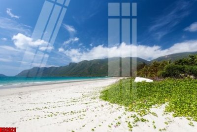 File gốc File tranh gốc in tranh tường nền tổng hợp H32021 (in lụa) họa tiết 3D