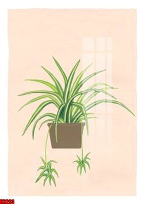 File tranh File tranh decor tranh bộ treo tường tổng hợp H3203 (gốc) chủ đề con người