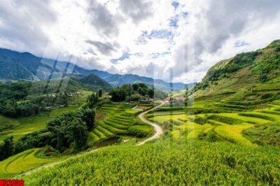 Chi tiết file tranh tráng gương File tranh gốc in tranh tường nền tổng hợp H32036 (ảnh gốc)