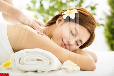 File tranh File tranh gốc in tranh tường nền tổng hợp H32061 (gốc) chủ đề động vật