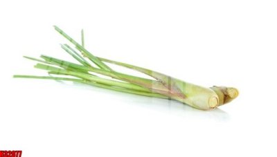 File gốc File tranh gốc in tranh tường nền tổng hợp H32077 (in lụa) hoa văn cổ điển