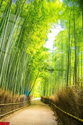 Tải file File tranh gốc in tranh tường nền tổng hợp H32127 (gốc) làm tranh treo tường